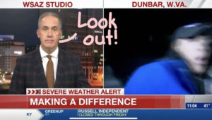 Newscaster Gets Hit By Car While On Live TV - And She Keeps Reporting ...