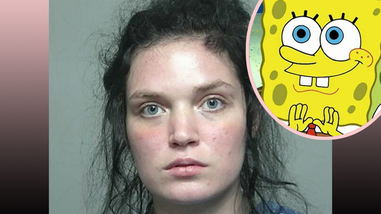 Spongebob Squarepants's Instagram, Twitter & Facebook on IDCrawl