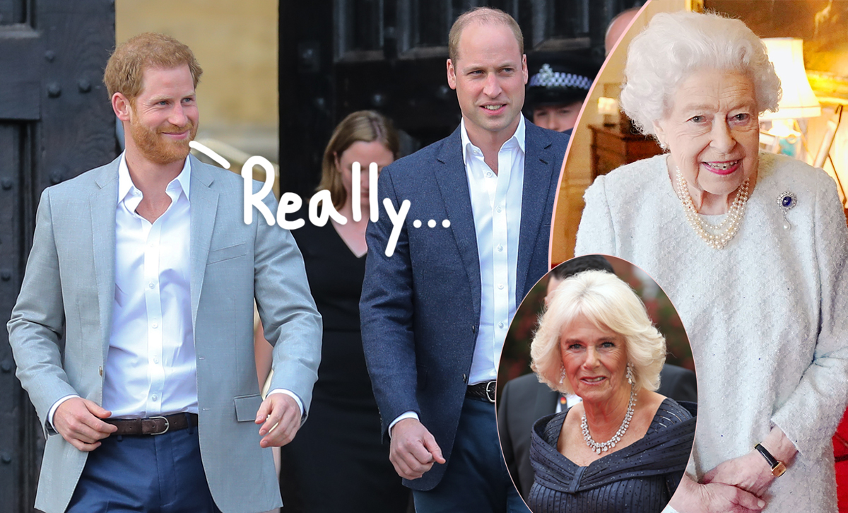 #Prince William & Prince Harry Were ‘Blindsided’ By Queen Elizabeth’s Decision On Camilla’s Future Queen Consort Title