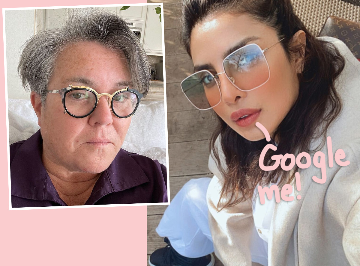 Rosie o'donnell apologized to priyanka chopra on tiktok