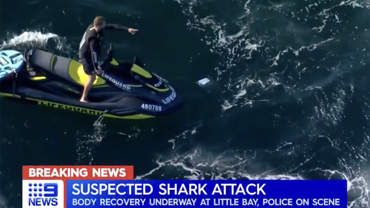 Little Bay Sydney shark attack: Diver ripped him apart relives the moment  and tells how he survived