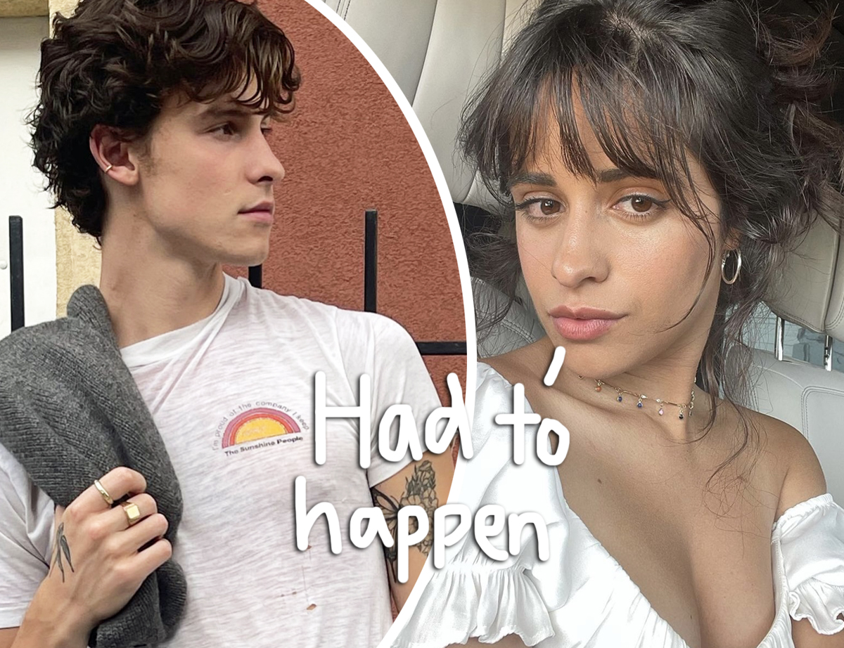 #Camila Cabello Breaks Silence On Shawn Mendes Split — She Couldn’t Be A ‘Well-Rounded Person’ With Him?!