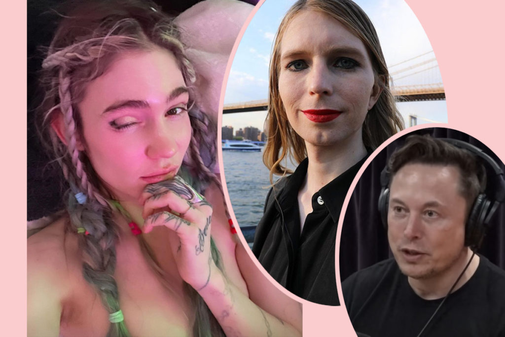 Grimes Dating Chelsea Manning After Elon Musk Breakup