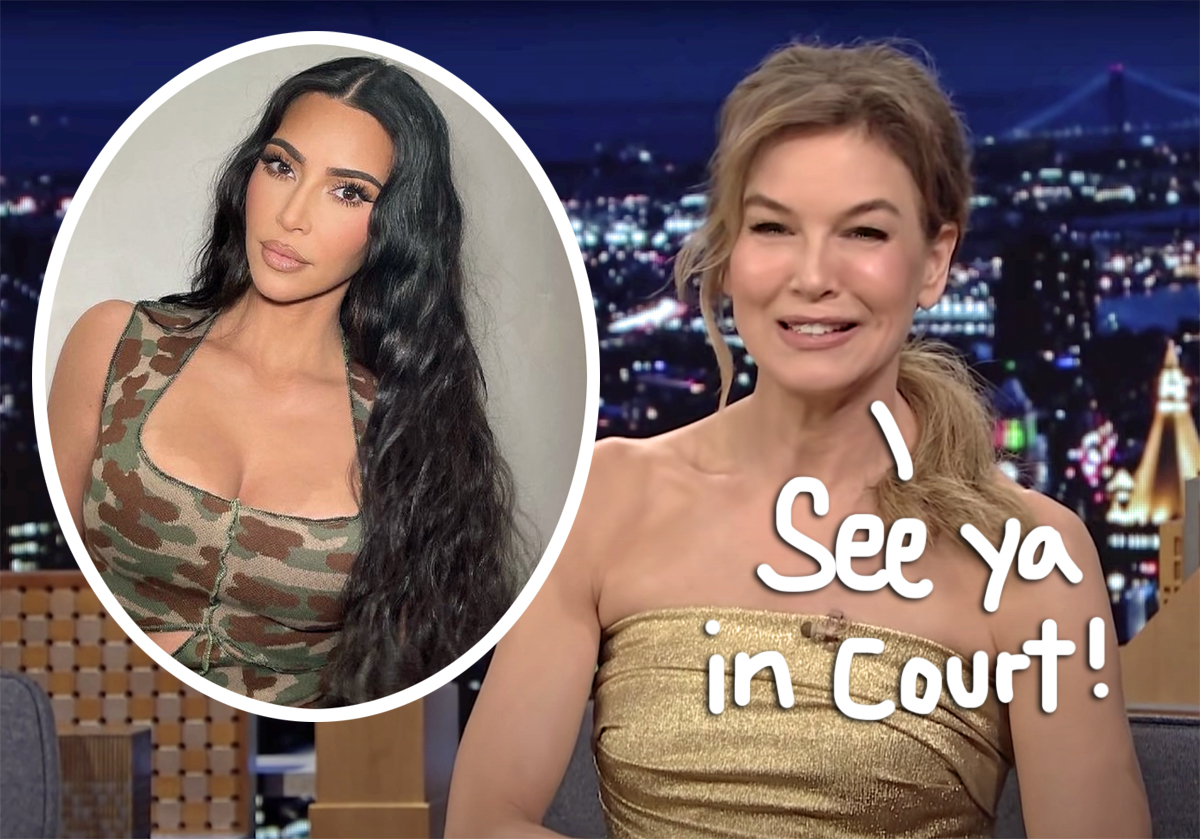 #Huh! Renée Zellweger Pulled A Kim Kardashian & Studied Law During Break From Acting!