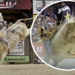 Rodeo Rescue! Watch As A Dad Puts Himself In Harm's Way After His Son Falls Off Bull!