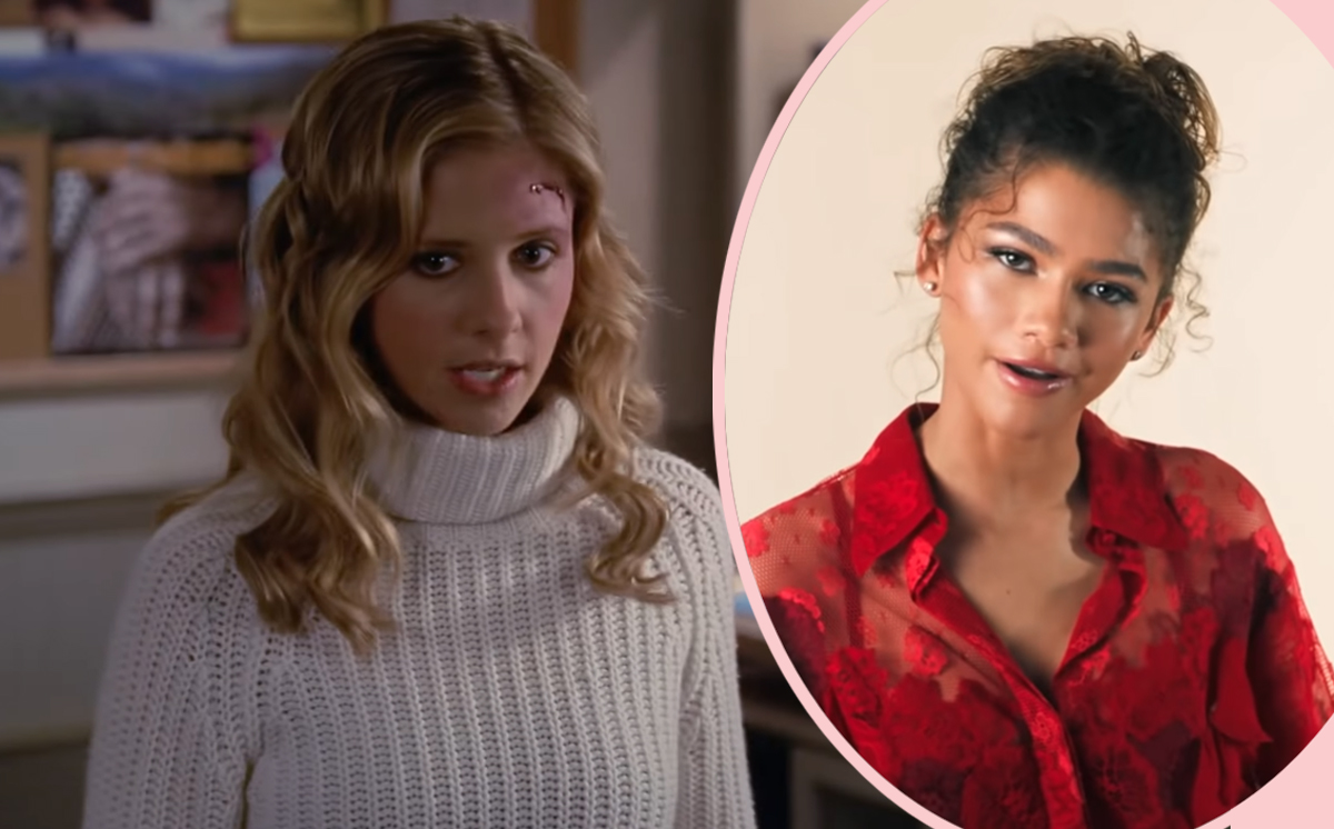 #Sarah Michelle Gellar Thinks Zendaya Should Be The Next Buffy In Reboot — But Would It Work?!