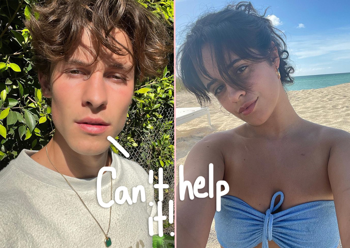 #Proof Shawn Mendes Is Still Checking Out Ex Camila Cabello!