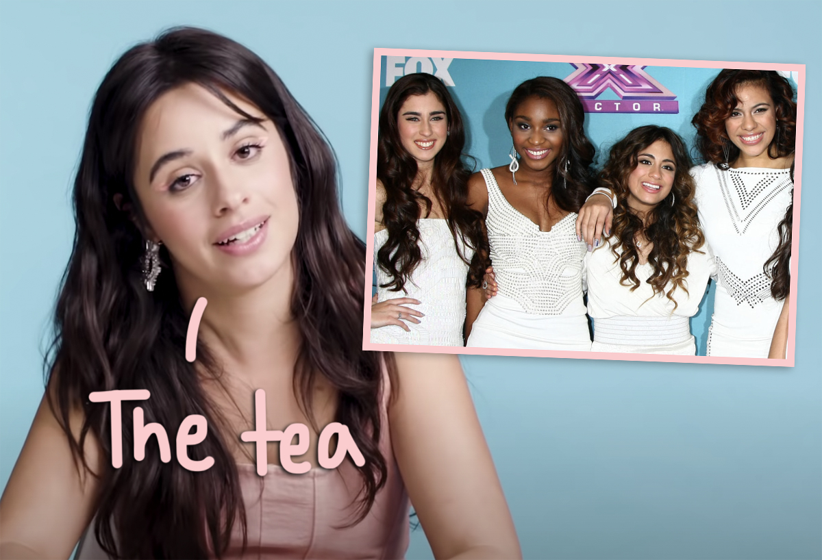 #Camila Cabello Reveals Current Status Of Her Relationship With Fifth Harmony Members After Nasty Split!
