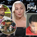 Suspect Accused Of Shooting Lady GaGa’s Dog Walker Mistakenly RELEASED From Jail!!
