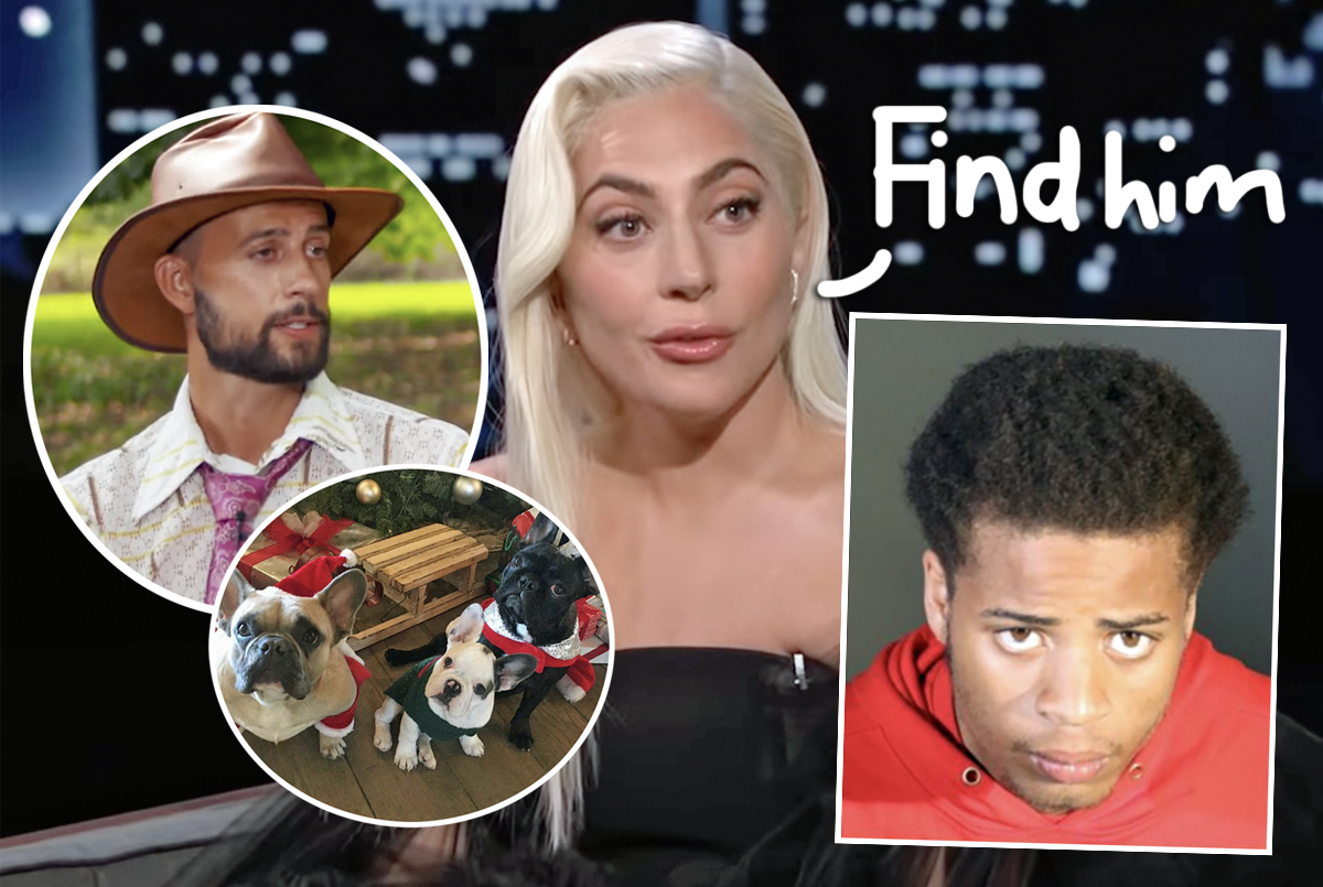 #Suspect Accused Of Shooting Lady GaGa’s Dog Walker Mistakenly RELEASED From Jail!!