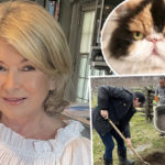 Martha Stewart's Beloved Cat Killed By Her 4 Dogs! Oh No...