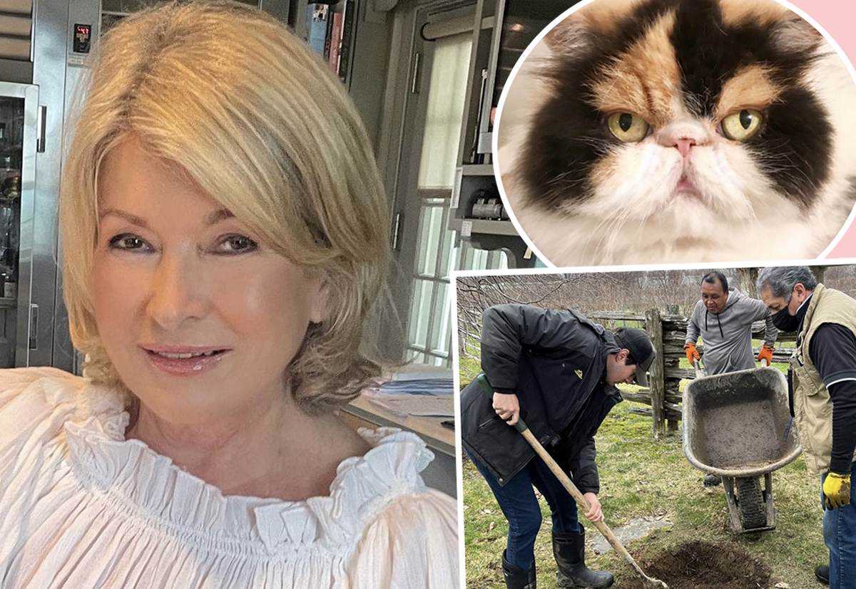 #Martha Stewart’s Beloved Cat Killed By Her 4 Dogs! Oh No…