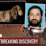LA Hiker Found Dead After 2 Weeks -- With Loyal Dog Still Waiting For Him To Wake Up