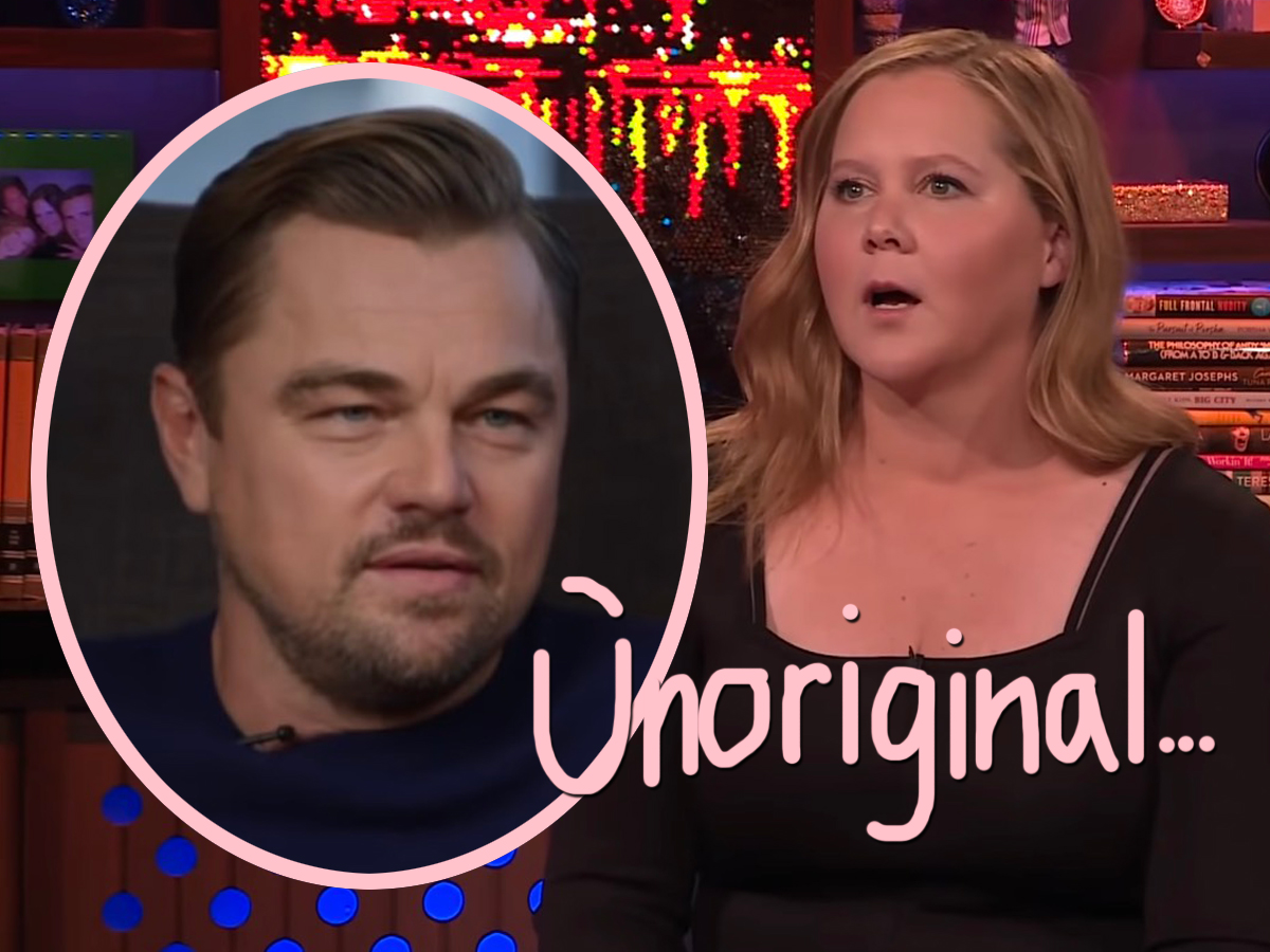 #Did Amy Schumer Steal Oscars Joke About Leonardo DiCaprio? Here’s What She Says…