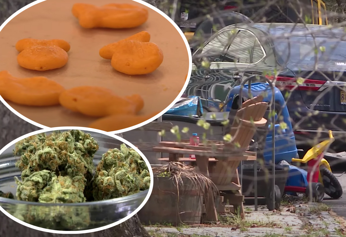#Daycare Owner Arrested After 3 Toddlers Eat THC-Laced Goldfish In Her Care