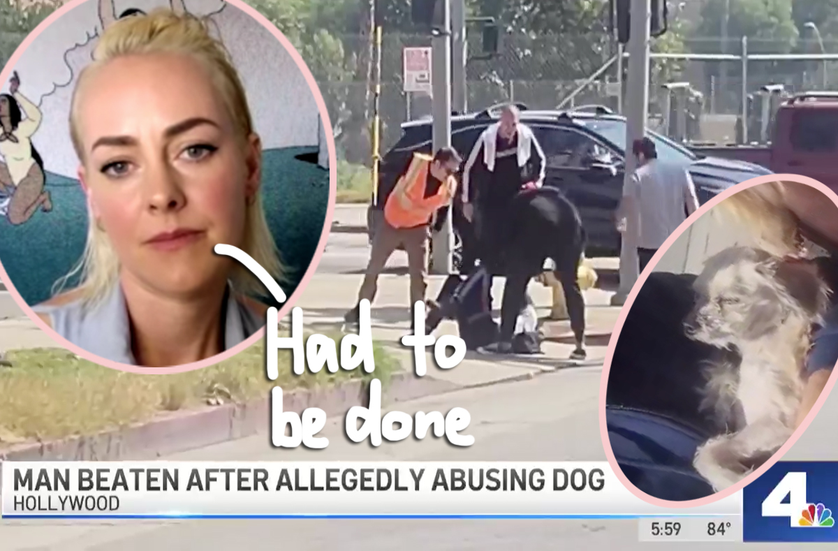 #Man Seen Abusing Little Dog Gets Chased Down & Beaten By Group Including Hunger Games Star Jena Malone!