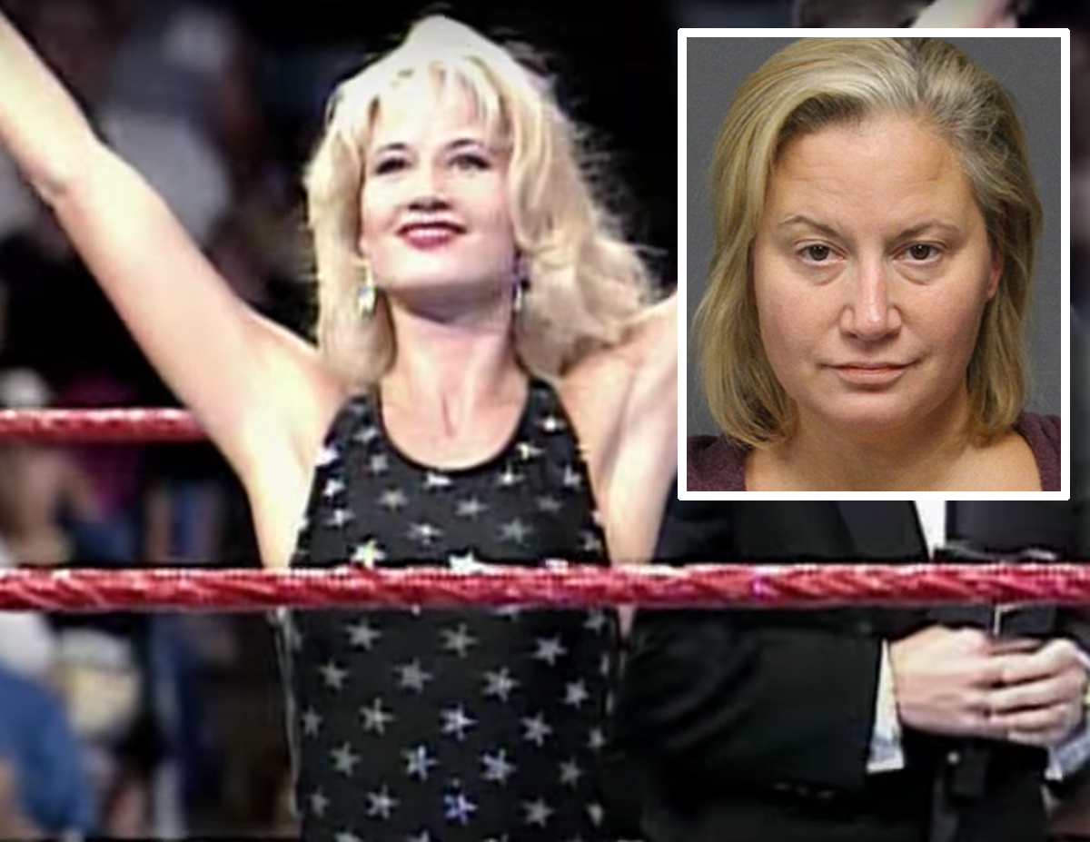 #Former WWE Star Tammy ‘Sunny’ Sytch Allegedly Killed Man In Drunk Driving Incident