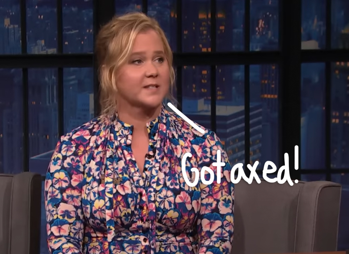 Amy Schumer Reveals The Nsfw Joke She Wasn T Allowed To Tell At The Oscars Perez Hilton