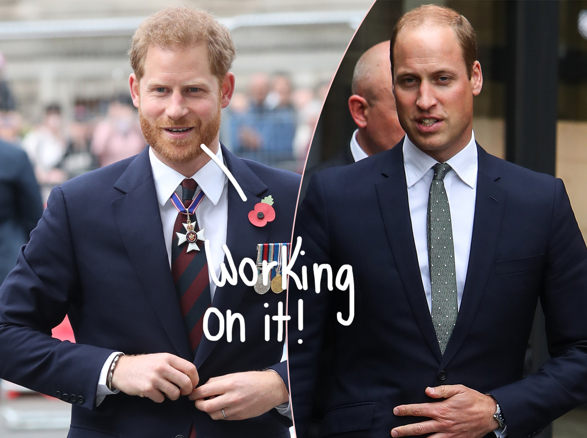 #Prince Harry & Prince William Are ‘Back On Their Old Buddy Terms’ Ahead Of Queen’s Platinum Jubilee
