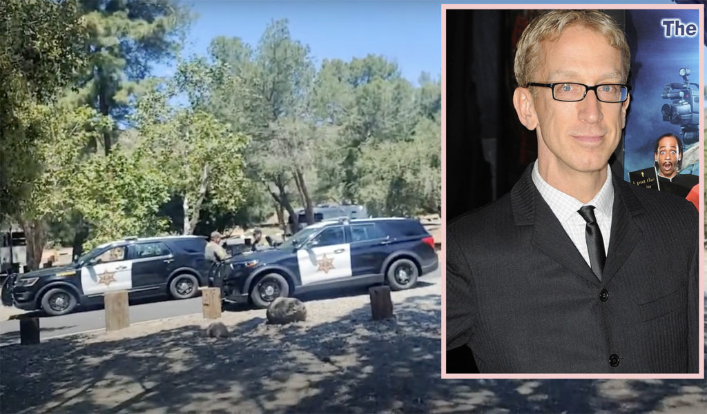 Andy Dick Arrested On Suspicion Of Felony Sexual Battery In The Middle Of  YouTube Livestream - Perez Hilton