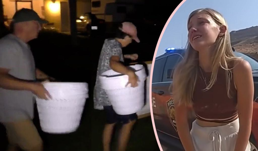 Brian Laundrie Parents Gabby Petito Death Lawsuit Response