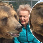 Betty White's Beloved Pet Bear Dies Just Months After Hollywood Legend