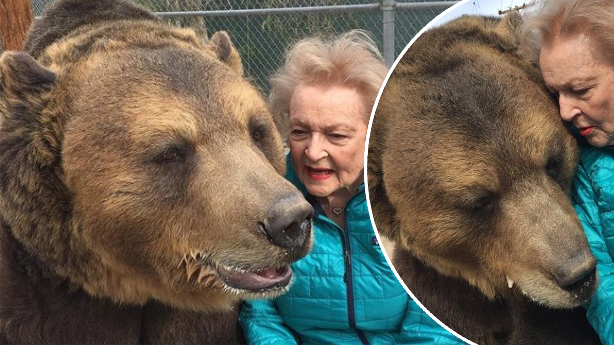 #Betty White’s Beloved Pet Bear Dies Just Months After Hollywood Legend