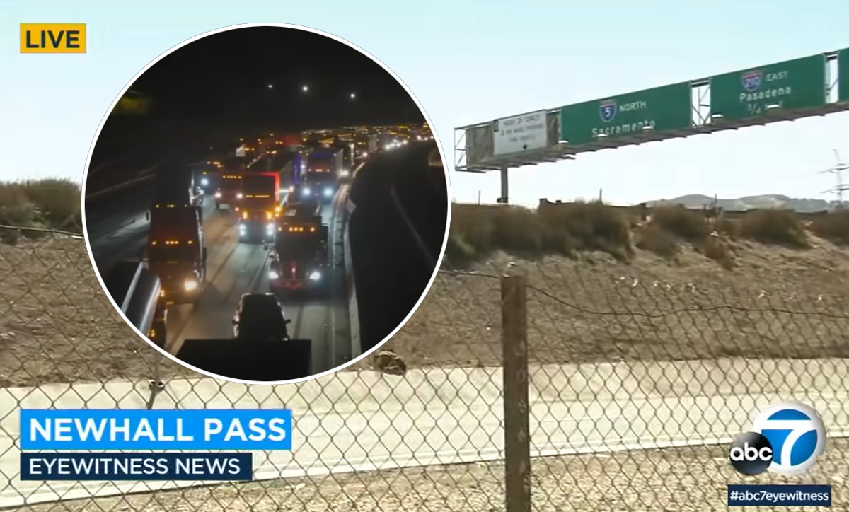 #Mom Arrested After 7-Year-Old Daughter Falls Out Of Car And Is Killed On California Freeway