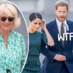 'Racist' Royal?! Camilla Parker Bowles Reportedly Wondered If Meghan & Harry's Baby Would Have 'Ginger Afro Hair'