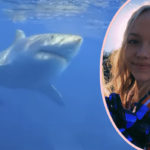 Scary Update On Florida Teen Attacked By Shark: She Did 'Everything Right'