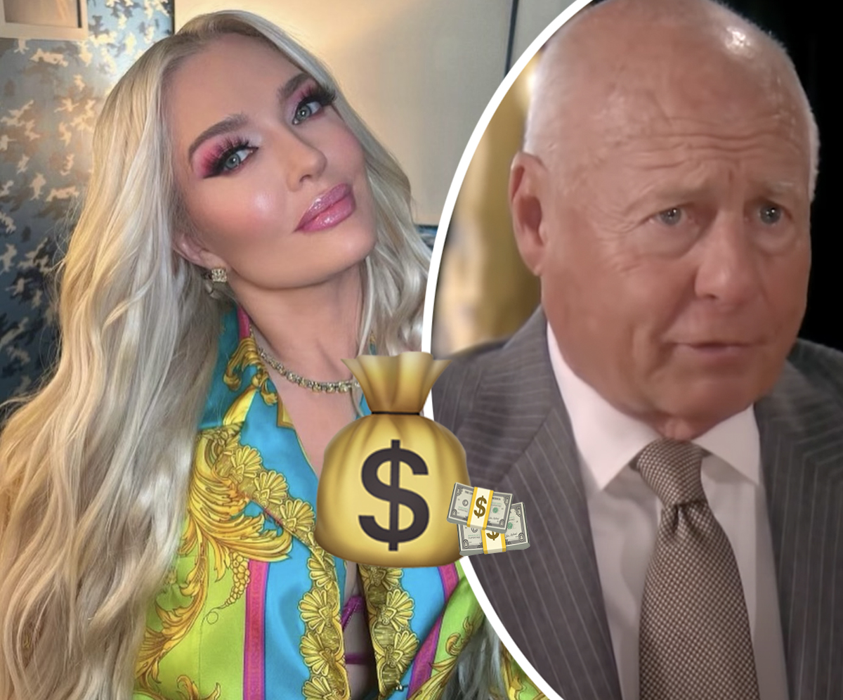#Erika Jayne ‘Intended To Participate’ In Scheme To Steal Millions — Per Latest Lawsuit!