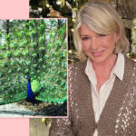 Martha Stewart Mourns Deaths Of Her 6 Peacocks After They Were ‘Devoured’ By Coyotes In Broad Daylight