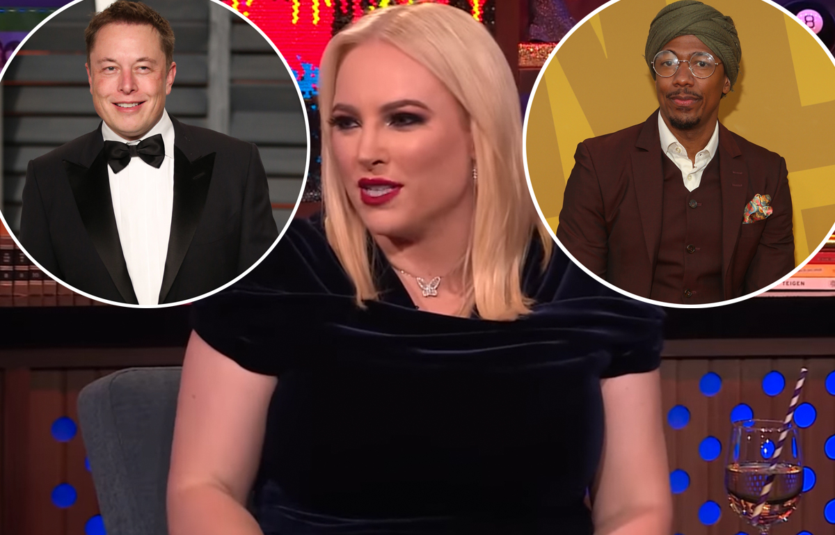 #Meghan McCain Calls Elon Musk & Nick Cannon The ‘Creepiest Tag Team’ For Their ‘Impregnate The Planet’ Mentality In Scathing Op-Ed!