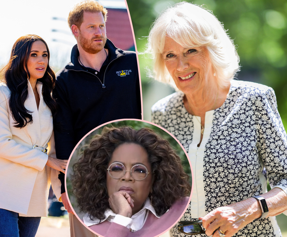 #Camilla Parker Bowles NOT The ‘Racist’ Royal Harry & Meghan Told Oprah Winfrey About, Say Palace Sources
