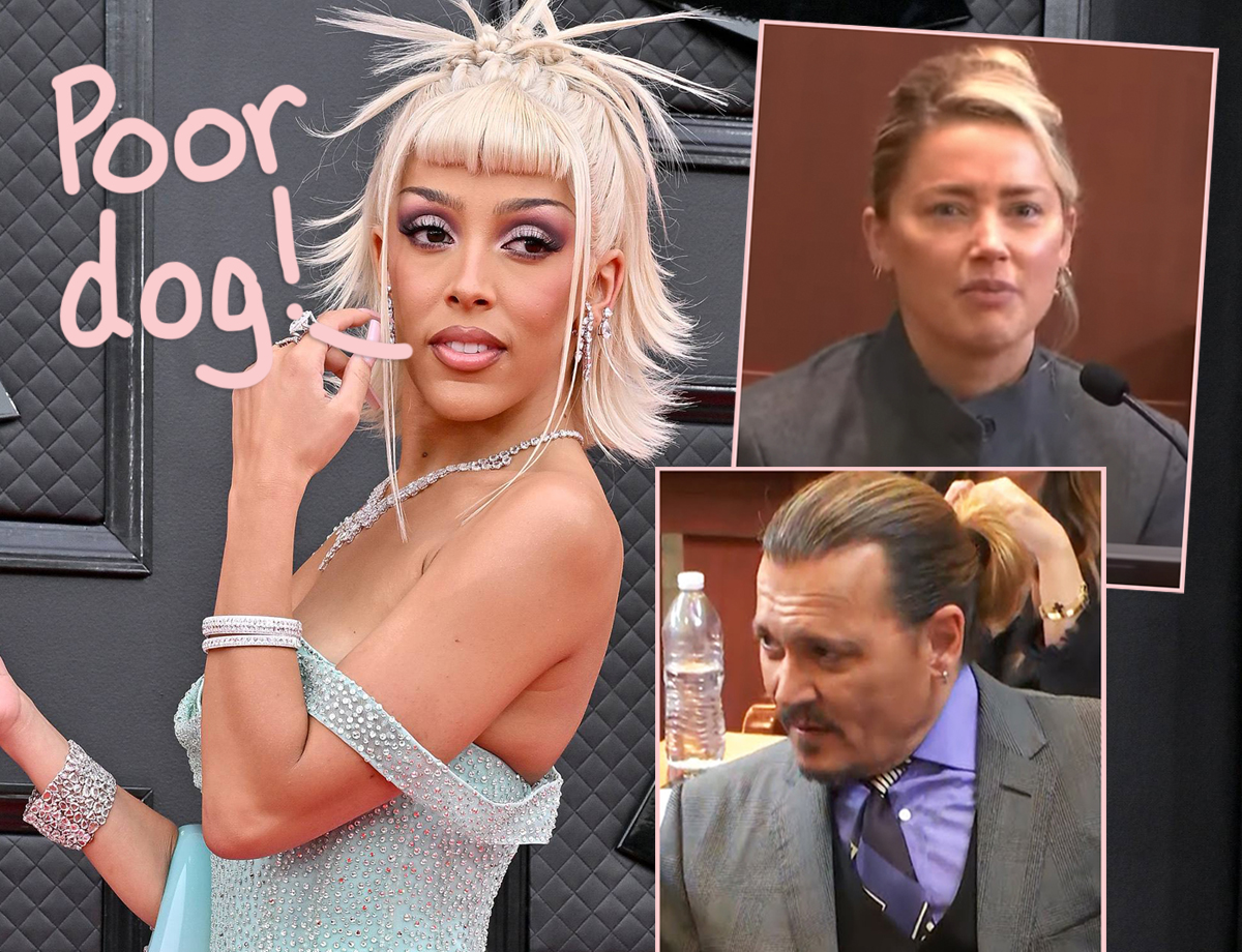 She's So About To Be Canceled': Internet Divided Over Doja Cat Hilariously  Mocking Amber Heard By Mimicking 'My Dog Stepped on a Bee' Expression -  FandomWire