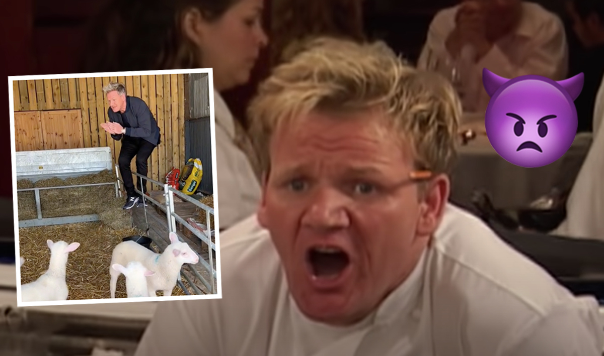 #Gordon Ramsay Causes UPROAR After Eagerly Selecting A Lamb To Slaughter: ‘Bro Has Officially Lost It’