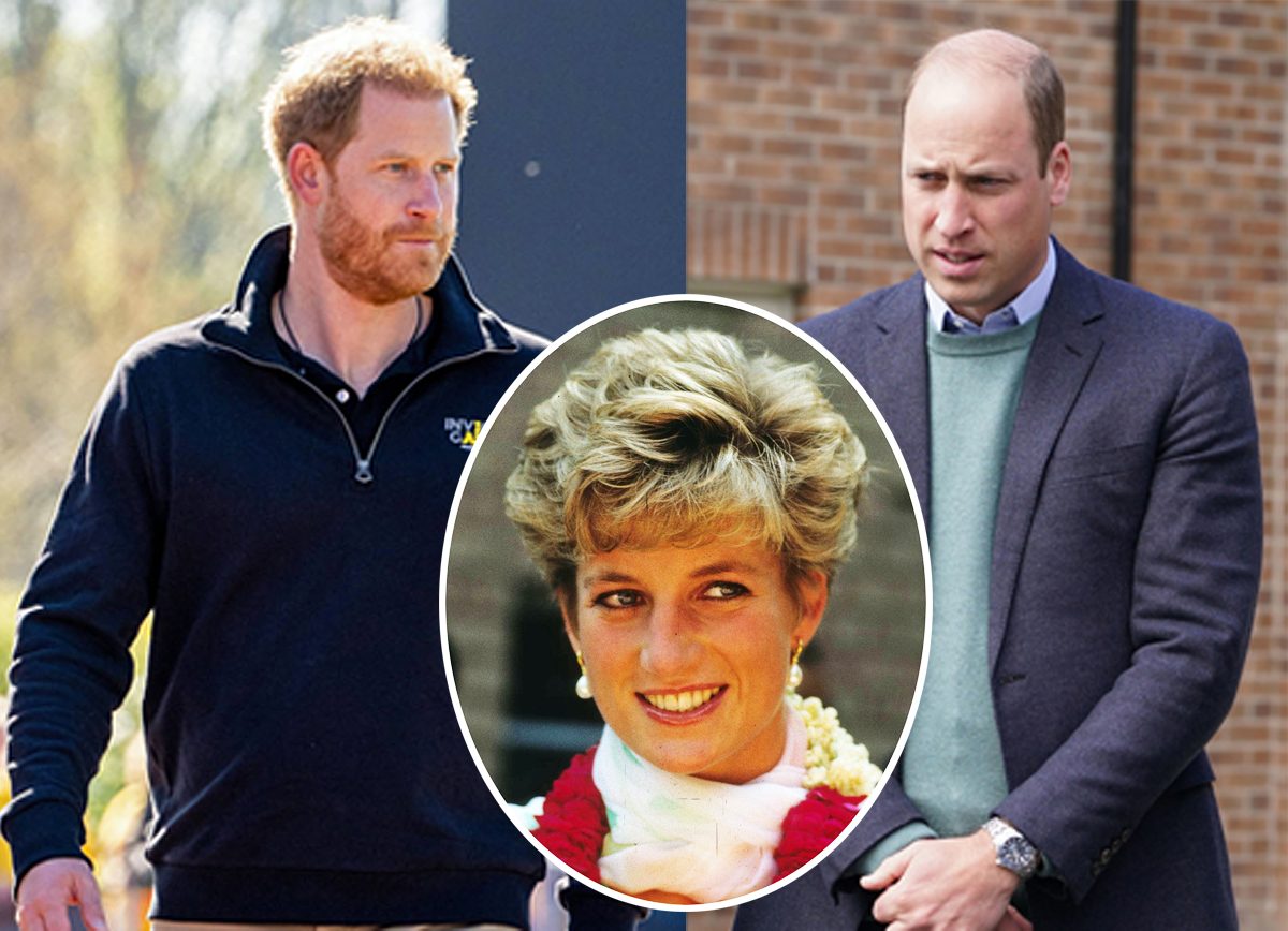 #William & Harry Share Emotional Tributes To Princess Diana On What Would Have Been Her 61st Birthday
