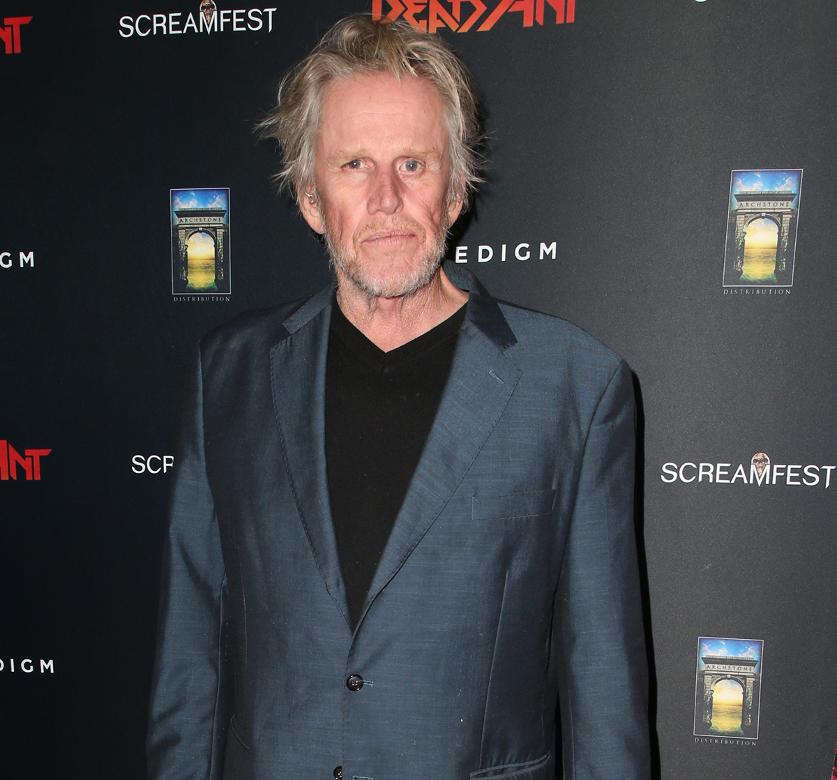 #Gary Busey Arrested On Criminal Sexual Contact Charges After Fan Convention In New Jersey