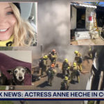 Woman Living In House Destroyed By Anne Heche Car Wreck 'In Shock' & 'Extremely Fortunate' To Be Alive