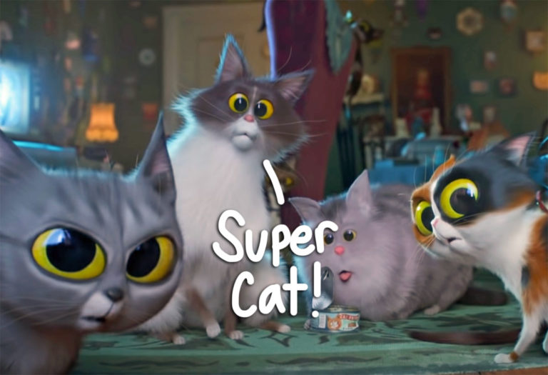 Hero Cat Helps Stop Armed Robbery Attempt In Mississippi!! Perez Hilton