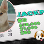 Couple's Dog Ate Their Winning Lottery Ticket!