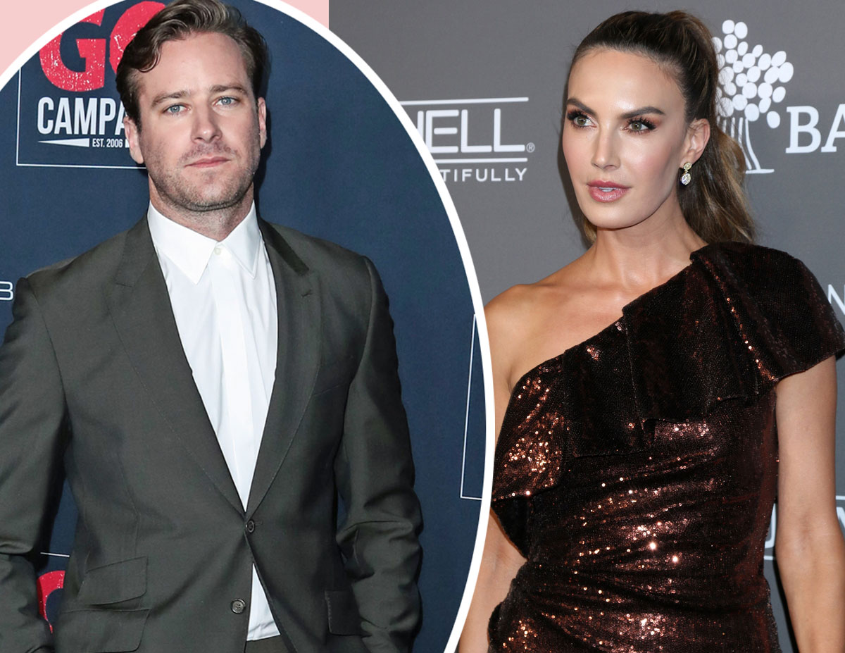 #Elizabeth Chambers Allegedly Posed As Her Friend To Leak Armie Hammer Stories Amid Divorce!