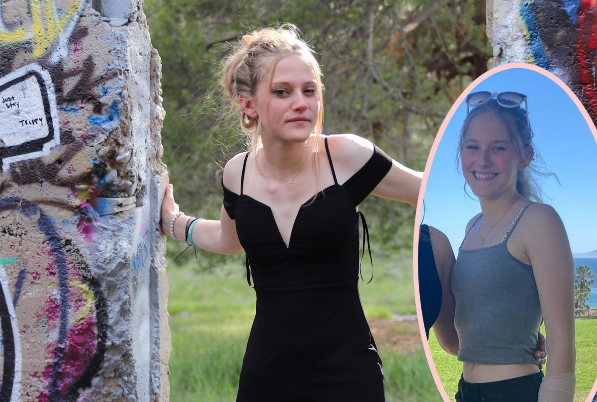 WTF, Police?! Another Amateur Sleuth