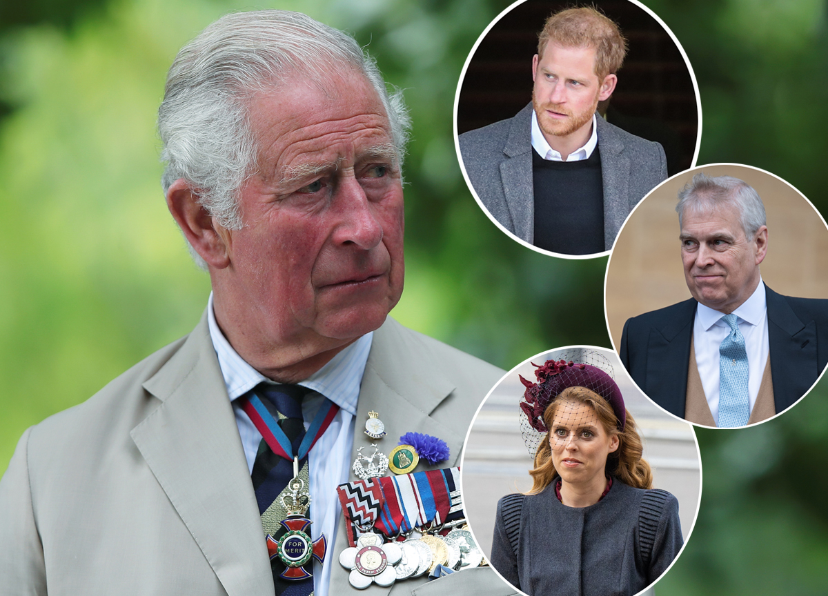 #King Charles Wants To Cut Prince Harry, Prince Andrew, & Princess Beatrice As Official Stand-Ins