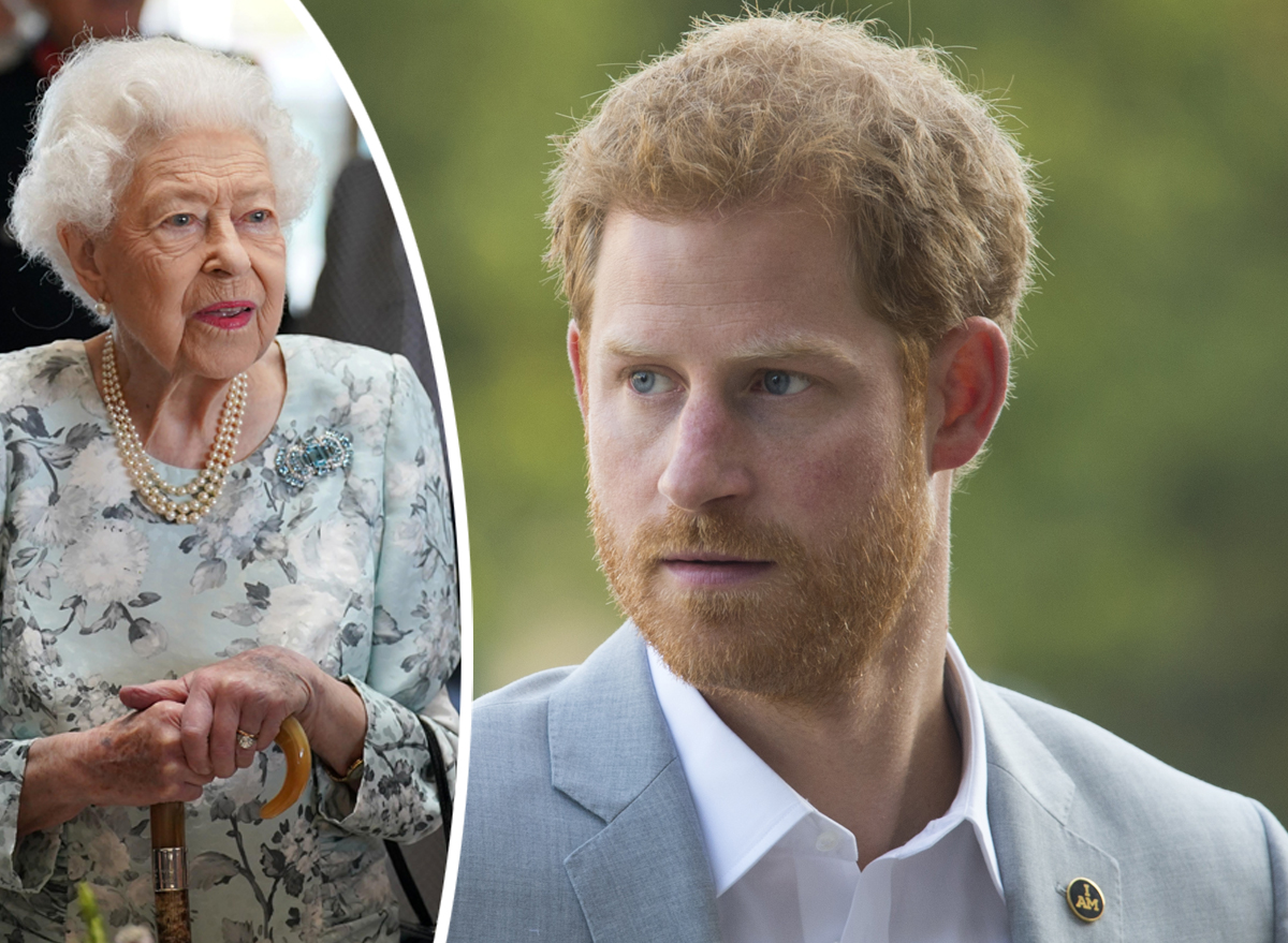 #Prince Harry Is ‘Struggling To Come To Terms’ With Queen Elizabeth’s Death