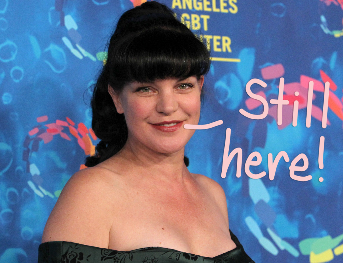What Is Pauley Perrette Doing Now 2021