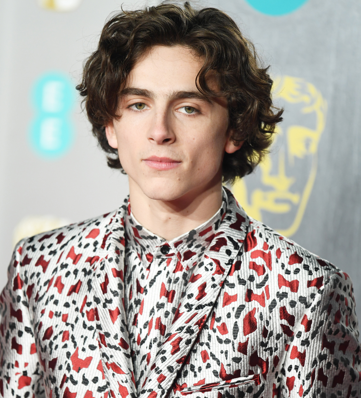 Timothée Chalamet Slams Fan Behavior On Social Media & Warns 'Societal Collapse Is In The Air'