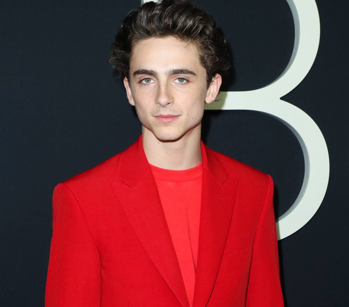 Timothée Chalamet Slams Fan Behavior On Social Media & Warns 'Societal Collapse Is In The Air'