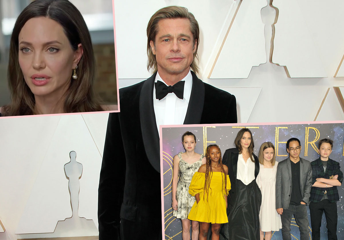 #Brad Pitt Sources Slam Angelina Jolie’s ‘Untrue’ Child Abuse Allegations!