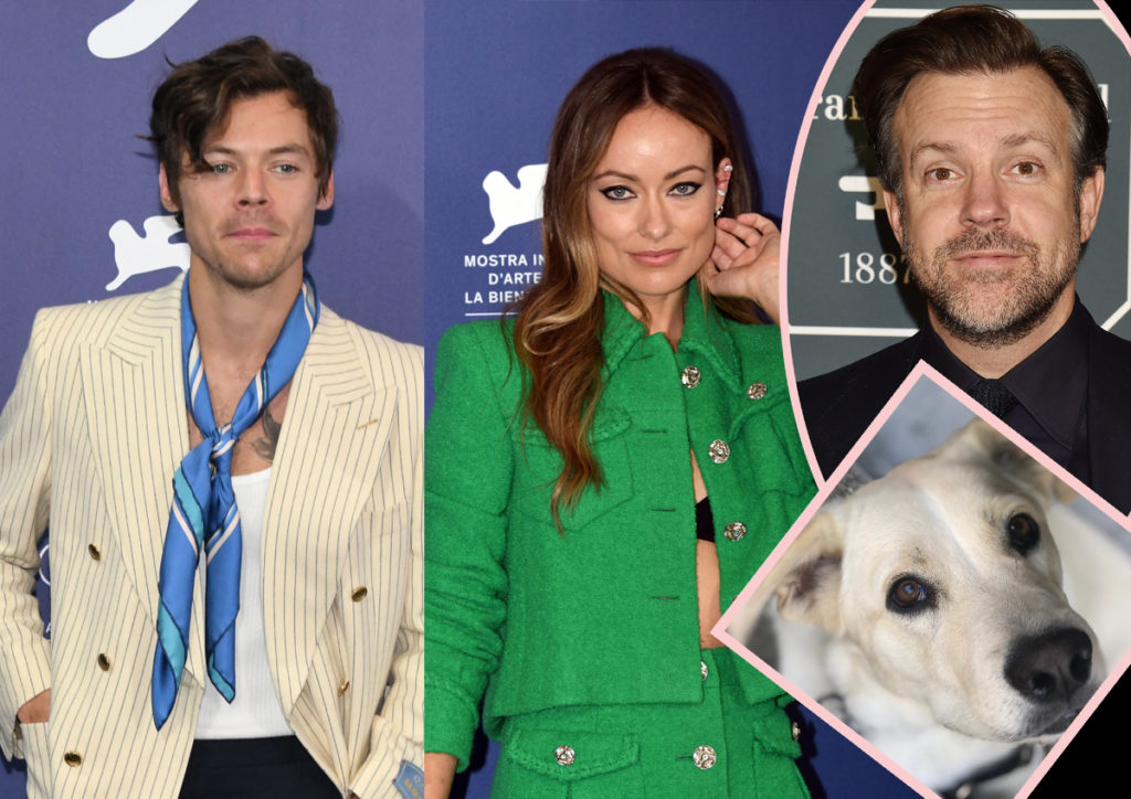Olivia Wilde Was 'An Addict' For Harry Styles While Still With Jason  Sudeikis - And Even Gave Up Her Dog For Him?! - Perez Hilton